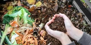 Action of the Month: Try your Hand at Home Composting – Thompson